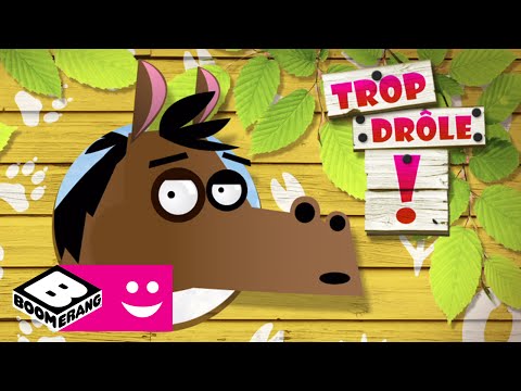 Téléchargement gratuit Images La Devinette Du Cheval Drole De Zoo Trop Drole Boomerang le plus cool par