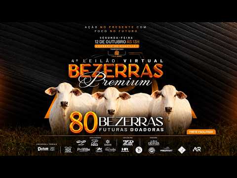 LOTE 31