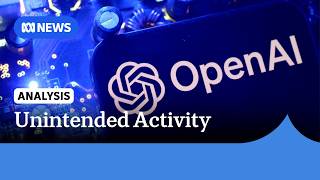 Why did it take OpenAI three months to report the Medicare hack | ABC NEWS