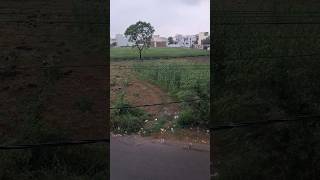 Harare yaha abhi bhi barish #ho rahi hai #rainsounds #na#shorts