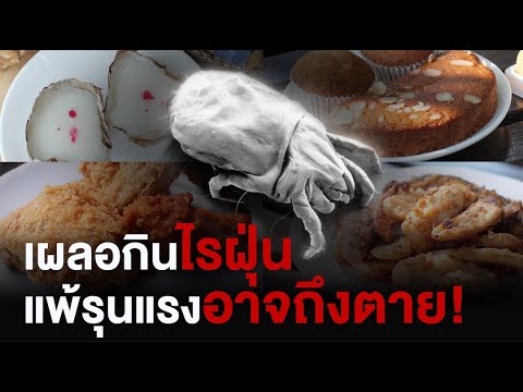 ระวัง!! ไรฝุ่นในอาหาร | เผลอกินไรฝุ่น แพ้รุนแรงอาจถึงตาย! | คลิป MU [Mahidol Channel]