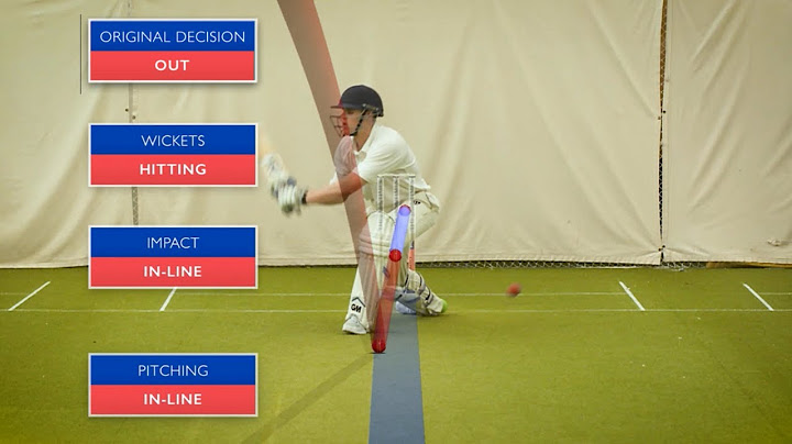Could You Be a Cricket Umpire? by The Times