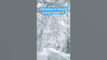 Thumbnail of #blizzard #snowstorm sounds for sleeping 😴
