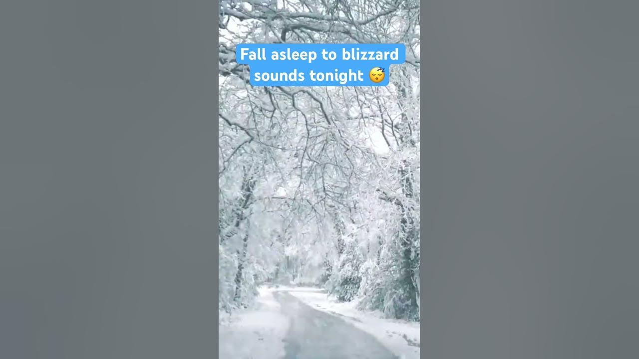 #blizzard #snowstorm sounds for sleeping 😴