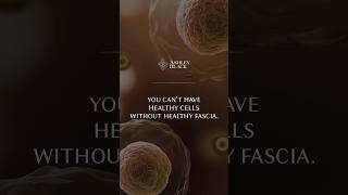 How Healthy Fascia Improves Movement, Strength, And Flexibility