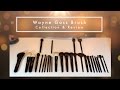 Entire Wayne Goss Brush Collection & Review | How I wash luxury brushes