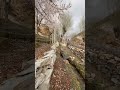 Yasin Valley Gilgit Baltistan in Spring. #yasinvalley #blossom #viralshorts #shortvideo
