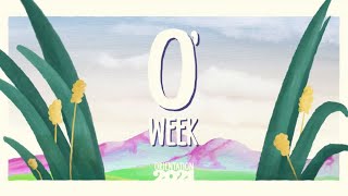 O'Week 2021 Teaser