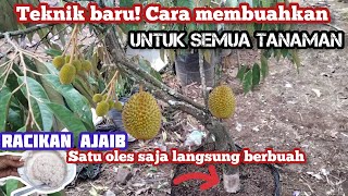 TEKNIK BARU!! Cara membuahkan durian dan semua tanaman yang berbuah