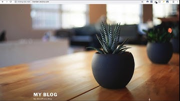 Cài đặt chứng chỉ SSL cho website