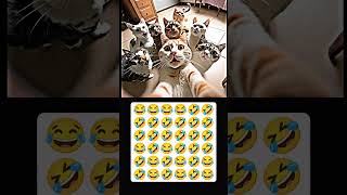 #amazingmemes #cat #viral #viral #trend #video #illusion #shortsvideo #song #illussion #illussion