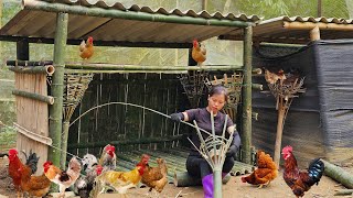 видео: Покидаем город ради леса: молодая девушка строит новый курятник и живёт на природе картинка: Покидаем город ради леса: молодая девушка строит новый курятник и живёт на природе