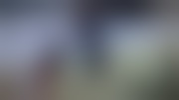 The Death of King Louis XVI Assassin