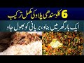 Sindhi beef pulao recipe | Sindhi white biryani recipe | degi pulao biryani recipe