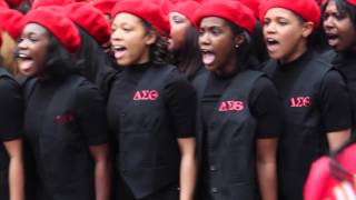 Delta Sigma Theta - HK Spring 2016