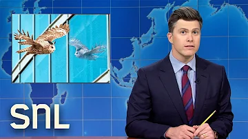 Weekend Update: Flaco the Owl Dies, KFC Launches Fried Chicken Pizza - SNL