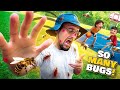 Backyard bees bugs  bball oh and theres a roach too  fv family vlog