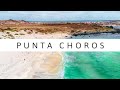 PUNTA DE CHOROS, ISLA DAMAS Y RESERVA NACIONAL PINGÜINOS DE  HUMBOLDT - CHILE