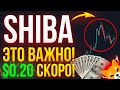 SHIBA: РИОШИ ОБЪЯВИЛ ЧТО ЦЕНА ПОЙДЕТ ДО $0.20!