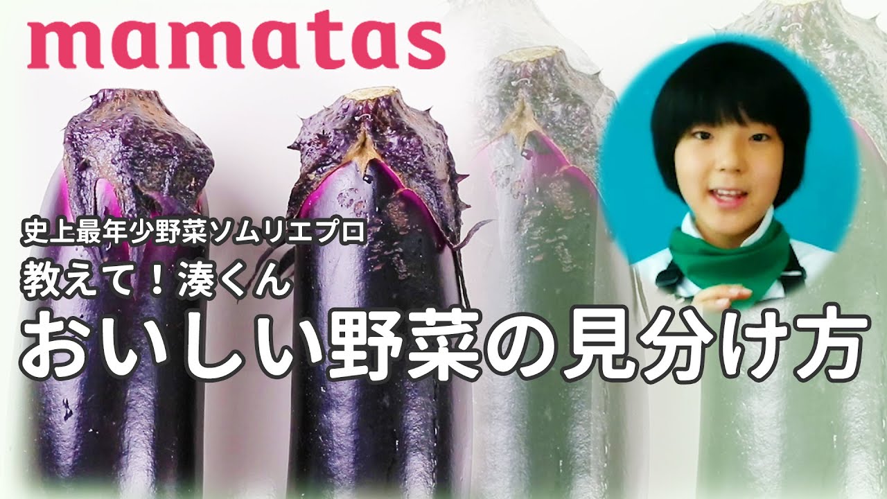野菜ソムリエ説明会に行った 口コミ メリット 資格試験難易度と費用