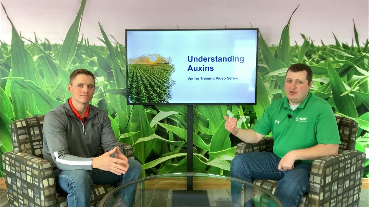 Understanding Auxin Herbicides Spring Training Series YouTube
