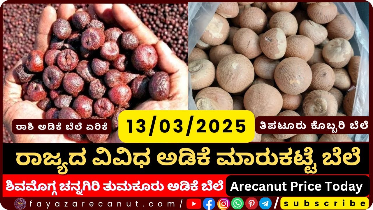 Arecanut Price Today 🔥 | Adike Market Rate Update 📈 | Betel Nut Supari ...