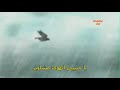 فيروز- رجعت الشتوية مع الكلمات......... . Fairouz -Rej3et Eshatwiyi with lyrics