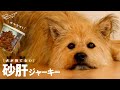 犬が大好きな手作りおやつ「砂肝ジャーキー」の作り方