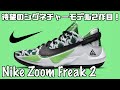 【バッシュ紹介】Nike Zoom Freak 2