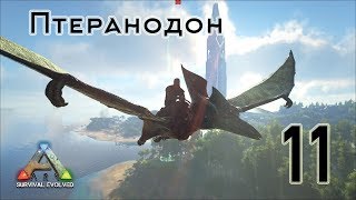 ARK Survival Evolved (The Island, одиночка) #11 Птеранодон