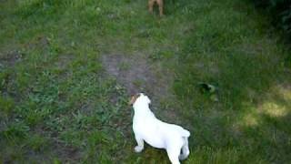 Full may28 022.avi Guide