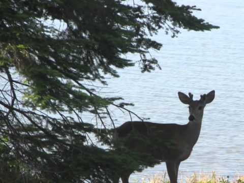 lake-superior-for-sale-492-memory-road,-pine-bay,-thunder-bay,-on