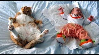 Babies and Cat are Best Friend | Коты и дети, лучшие друзья?! P.2 by NewsWorld TV 50,401 views 6 years ago 2 minutes, 46 seconds