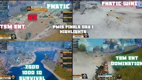 PMIS FINALS DAY 1 HIGHLIGHTS|TSM-ENTITY ON TOP|FNATIC ON FIRE|UNDERDOG TEAMS DOMINATION💥💥[PART-2]