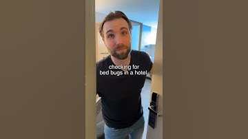 🪳 How To Check For Bed Bugs!