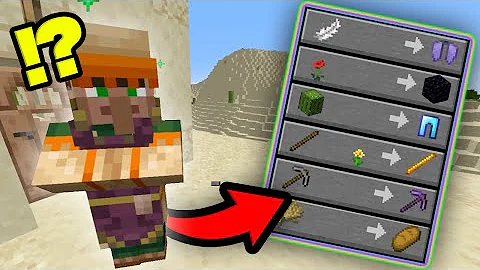 マイクラ村人がエンドラ討伐
