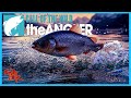 A Full BAG Of IDE Diamonds | Call of the Wild theAngler