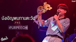 บังเอิญพบทานตะวัน I ดอกไม้ที่รอให้เธอเก็บ - PURPEECH 🌻 「Live at สาสมใจ 」