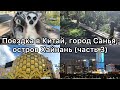ПОЕЗДКА В КИТАЙ ГОРОД САНЬЯ ОСТРОВ ХАЙНАНЬ ФЕВРАЛЬ 2026