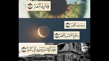 اجمل صوت ممكن تسمعه يوسف الدغوش سورة القيامة