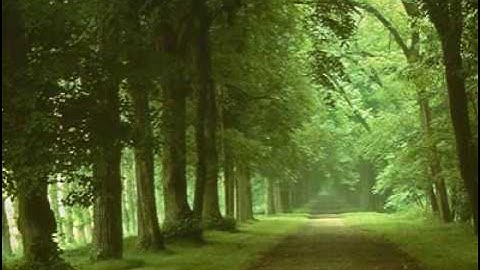 Thumbnail of TANGUERA-Sexteto Mayor