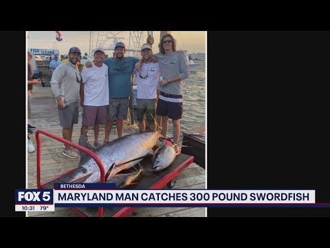 Maryland man spends 8 hours catching 300lb swordfish, ends up in hospital with infection | FOX 5 DC