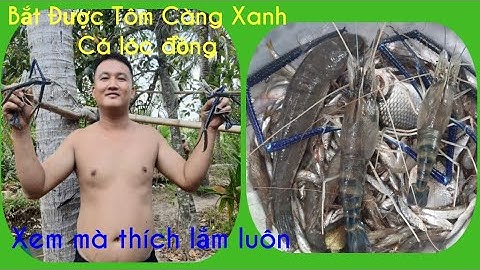 Buổi trưa bắt tôm cá cùng anhem và cái kết thật bất ngờ tôm càng xanh bự dã mang.Út Linh Miền Tây #7