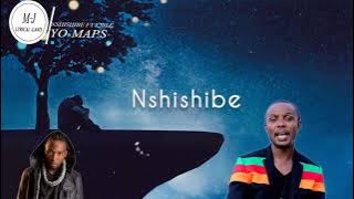 Yo Maps ft Exile - nshishibe video lyrics