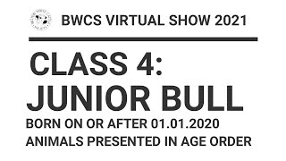 BWCS VIRTUAL SHOW 2021 | CLASS 4 JUNIOR BULL | COWSHEDTV