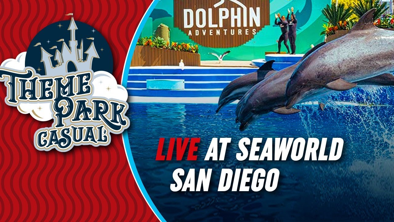 Fireworks at SeaWorld San Diego LIVE YouTube