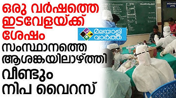 Nipah സംസ്ഥാനത്ത് വീണ്ടും നിപ വൈറസ് ബാധ സ്ഥിരീകരിച്ചു