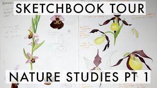 Sketchbook Tour Fall '21: Detailed nature studies (orchids, butterflies) | part 1