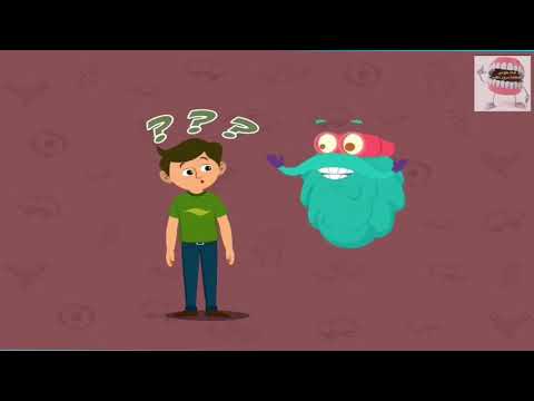 الاثار الايجابية للفيضانات