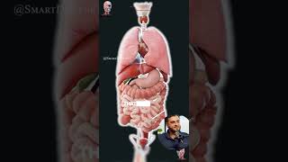 @dthshow on youtube Dr. Abud Bakri on bio-regular peptides